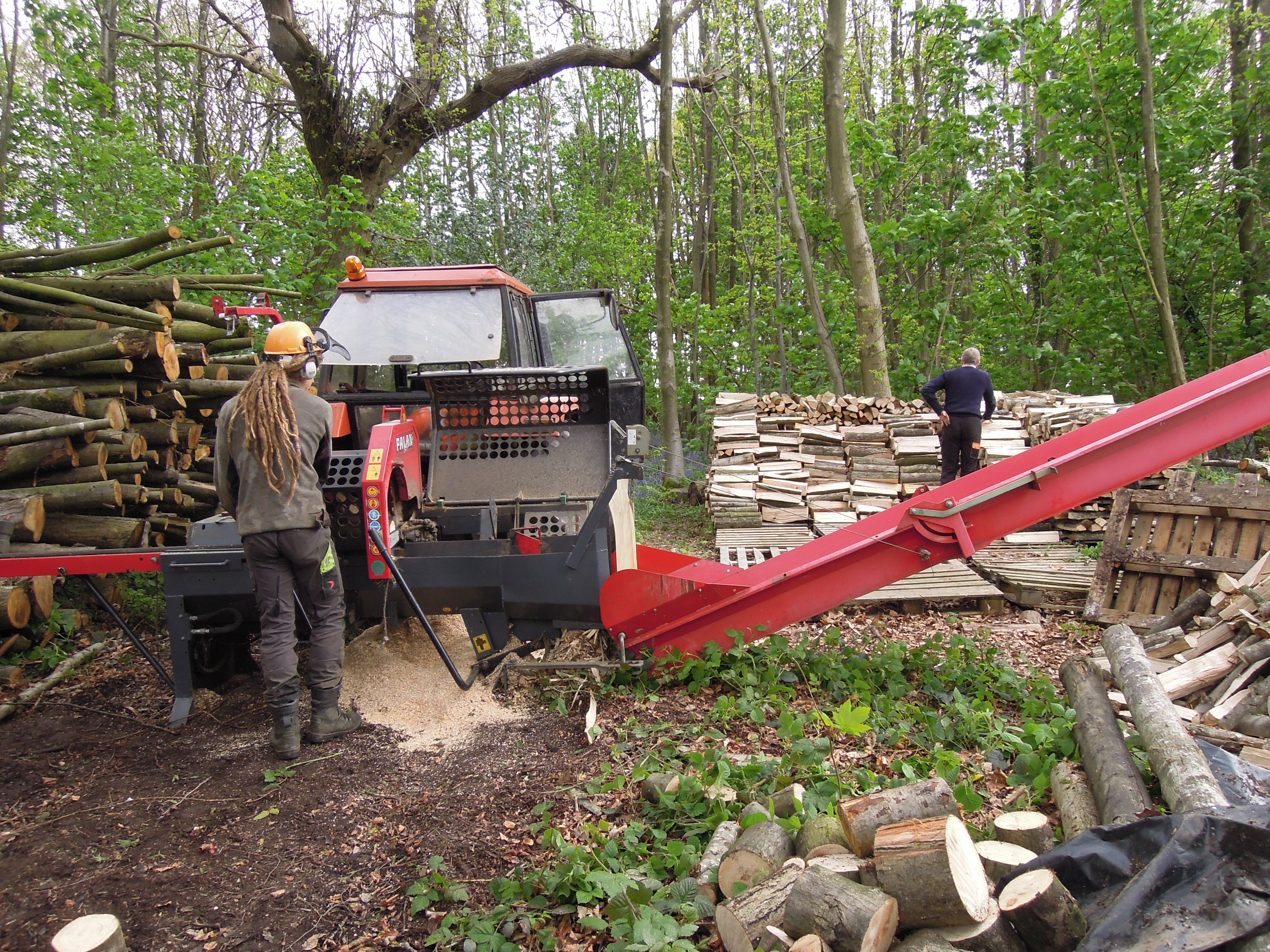 Indica Forestry work