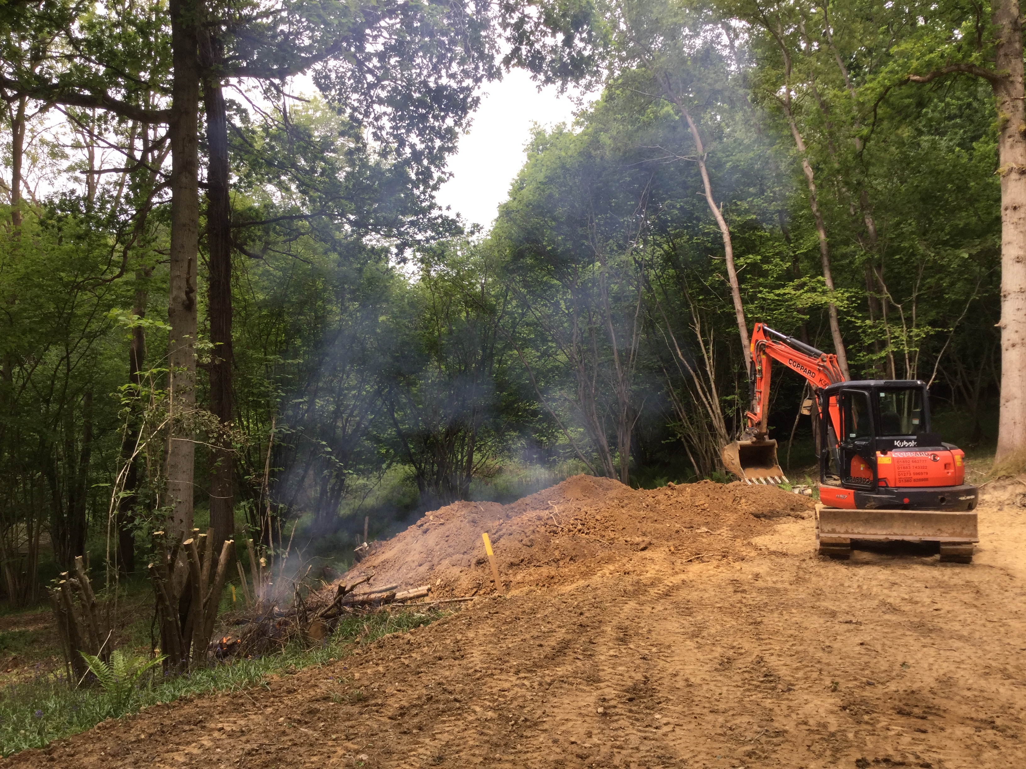 Indica Forestry work